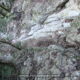 071 Torrent Balaguer Torrent Cavall Bernat Montserrat Rocjumper