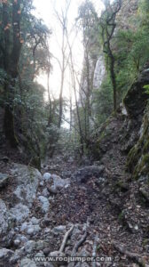 Resaltes - Torrent del Cavall Bernat - Montserrat - RocJumper