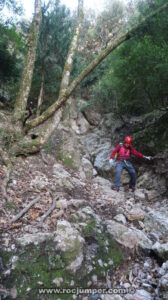 Resaltes - Torrent del Cavall Bernat - Montserrat - RocJumper