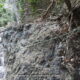 080 Torrent Balaguer Torrent Cavall Bernat Montserrat Rocjumper