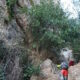 082 Torrent Balaguer Torrent Cavall Bernat Montserrat Rocjumper