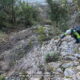 090 Torrent Balaguer Torrent Cavall Bernat Montserrat Rocjumper