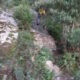 092 Torrent Balaguer Torrent Cavall Bernat Montserrat Rocjumper