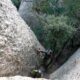 006 Canal Melindro Montserrat Rocjumper