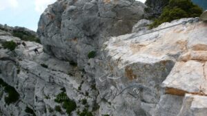 Puente Nepalí corto - Vía Ferrata La Panoramique - Saint Paul de Fenouillet - Francia - RocJumper