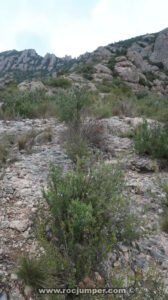 Retorno - Vía A Prop + Aresta dels Marges - Els Graus - Collbató - Montserrat - RocJumper