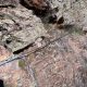 064 Via Ferrata Salt Botanal Alins Rocjumper