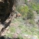 069 Via Ferrata Salt Botanal Alins Rocjumper