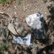 082 Via Ferrata Salt Botanal Alins Rocjumper