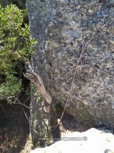 R6' - Vía Pique Longue - La Granota - Montserrat - RocJumper