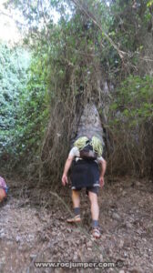 Apertura en la vegetación - L'Aglà y Agulla Mare - Montserrat - RocJumper