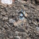 011 Via Esquivabolas Cajoleta Via Tot Vola Cassola Montgros Rocjumper