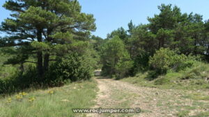 Pista aproximación - Barranc Vall de la Bassa Superior - Mussara - RocJumper