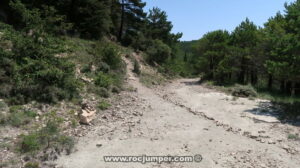 Sendero aproximación - Barranc Vall de la Bassa Superior - Mussara - RocJumper