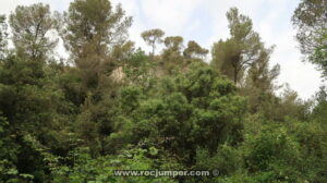 Zona Noreste - Escalada Deportiva Pic de l'Àliga - Sant Andreu de la Barca - RocJumper