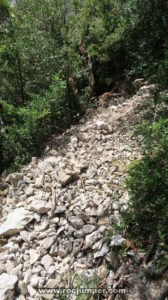 Tartera - Camí de les cireres d'Arboç - Montfalcó - RocJumper