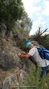 Grimpada - Camí de les cireres d'Arboç - Montfalcó - RocJumper