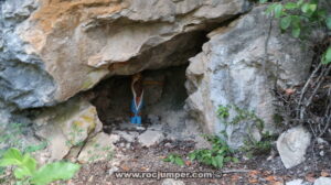 Cueva Teresa - Camí de les cireres d'Arboç - RocJumper