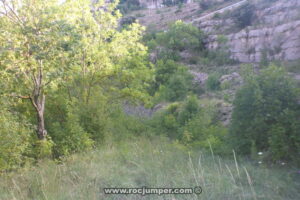 Aproximación - Torrent del Greixot o Riu de Cerdanyola - Guardiola de Berguedà - RocJumper