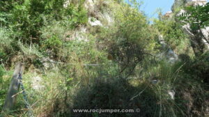 Cadenas en la vegetación - Grau de Jou - Grau dels Boigs - Sant Corneli - RocJumper