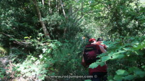 Bosque - Camí de les Centrals - Queralbs - RocJumper