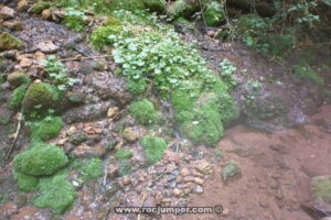 Afluente - Les Fonts del Llobregat o Salt de la Farga - Castellar de n'Hug - RocJumper