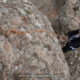 074 Cap Mort Torrent Balaguer Canal Torrent Cavall Benat Montserrat Rocjumper