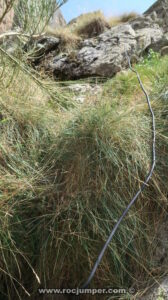 Cable - Canal del Freser Superior - Queralbs - RocJumper