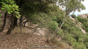 Hacia Ermita de Sant Antoni Cap del Mort - Montserrat - RocJumper