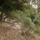 076 Cap Mort Torrent Balaguer Canal Torrent Cavall Benat Montserrat Rocjumper