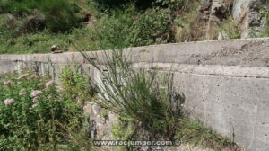 Salida 3 - Canal del Freser Superior - Queralbs - RocJumper