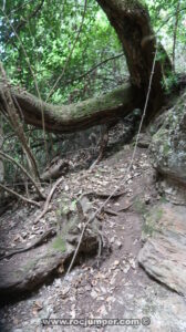 Camino equipado Torrent del Cavall Bernat - Montserrat - RocJumper