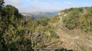 Llegando - Barranc de Tarrascona o Morterets - Capafonts - RocJumper