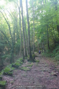 Camí Ral Vic-Olot - Sallent de Grau - Falgars d'en Bas - RocJumper