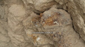 Fósil en el Ascenso - Sima de San Pedro - RocJumper