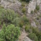 026 Via Ferrata Hipocratica Calcena Rocjumper