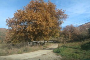 Acceso pista - Torrent de Muiols - Campdevànol - RocJumper