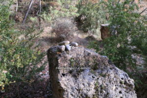 Bifurcación - Rasa de Capdevila - Sant Llorenç de Morunys - RocJumper