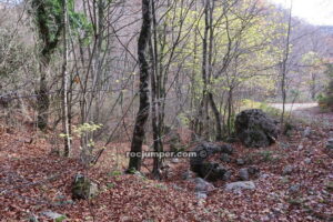 Inicio Torrent de Muiols - Campdevànol - RocJumper