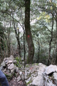 Desvío con pintura roja a Cova d'en Salvi - RocJumper