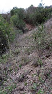 Salida - Barranco Aguilera - Tolox/Yunquera - RocJumper
