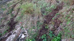 Desvío Sendero - Vía Ferrata Falla del Camorro - Cuevas de San Marcos - RocJumper