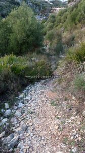 Sendero aproximación - Vía Ferrata Infantil Benaoján - RocJumper