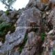 006 Via Ferrata Pita 100 Caños K3 Villanueva Trabuco Rocjumper