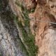 009 Via Ferrata Castillo Aguila Rocjumper