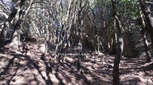 Bosque - Travesía Agulles i Frares Encantats - Montserrat - RocJumper