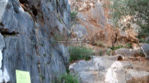 Puente mono o nepalí - Vía Ferrata Infantil Benaoján - RocJumper