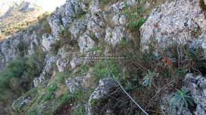 Continúa cable - Vía Ferrata Falla del Camorro - Cuevas de San Marcos - RocJumper