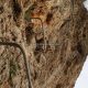 012 Via Ferrata Plana I Casares Rocjumper