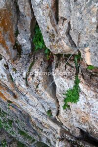 Unión - Parte 1 - Tramo 1 - Vía Ferrata La Pita - Villanueva del Trabuco - RocJumper